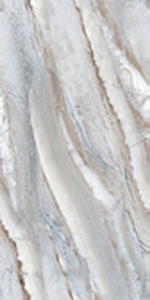 Daffodils &mdash; GVT Satin Matt Series 60x120cm tile