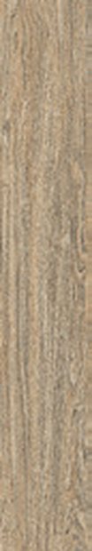 Sylva Vein Matt &mdash; Red Body Wood Series 20X120CM tile
