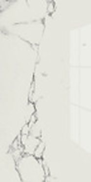 Elara Marble SP &mdash; Super Polished Series 60x120cm tile