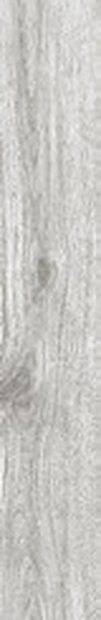 Silver Oak Matt &mdash; Vitrified Body Wood Series 20x120cm tile