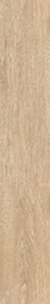 SPruce Wood Matt &mdash; Vitrified Body Wood Series 20x120cm tile