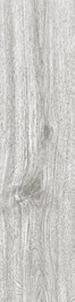 Silver Oak Matt &mdash; Vitrified Body Wood Series 30x120cm tile